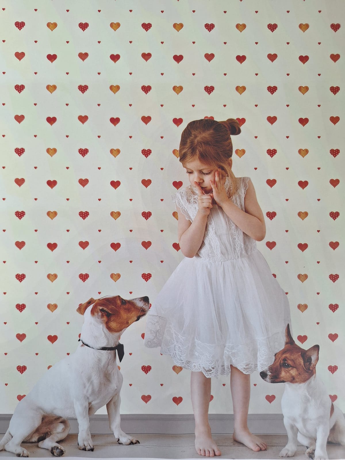 Trend Yapı Tasarım